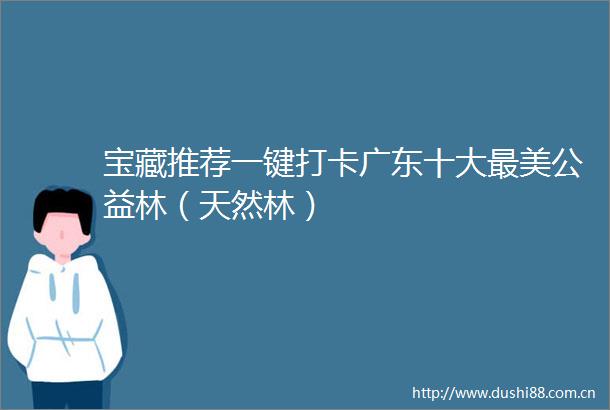宝藏推荐一键打卡广东十大最美公益林（天然林）