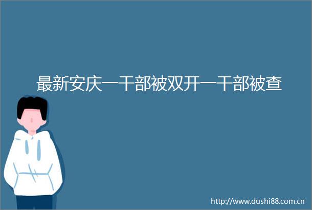 最新安庆一被双开一被查