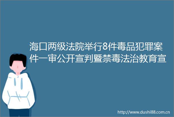 海口两级举行8件毒品案件一审公开宣判暨禁毒法治教育宣传活动