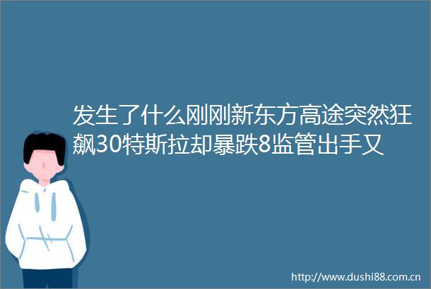 发生了什么刚刚新东方高途突然狂飙30特斯拉却暴跌8监管出手又有A股实控人栽了