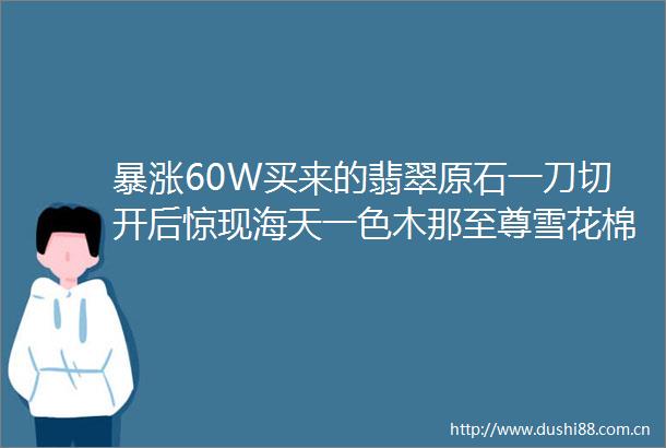 暴涨60W买来的翡翠原石一刀切开后惊现海天一色木那至尊雪花棉