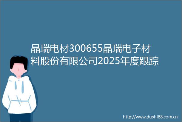 晶瑞电材300655晶瑞电子材料股份有限公司2025年度跟踪评级报告