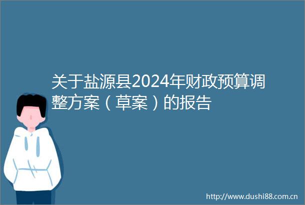 关于盐源县2024年财政预算调整方案（草案）的报告