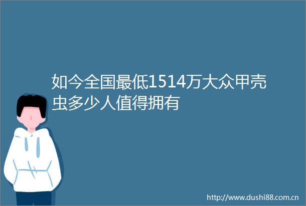 如今全国最低1514万大众甲壳虫多少人值得拥有