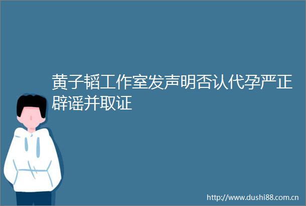 黄子韬工作室发声明否认代孕严正辟谣并取证