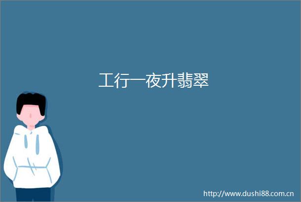 工行一夜升翡翠