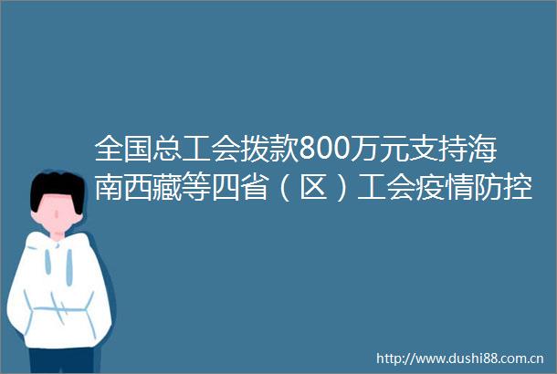 全国总工会拨款800万元支持海南西藏等四省（区）工会疫情防控工作