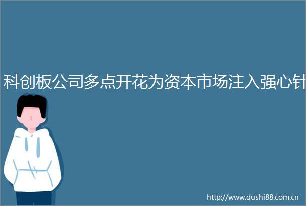 科创板公司多点开花为资本市场注入强心针