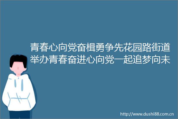 青春心向党奋楫勇争先花园路街道举办青春奋进心向党一起追梦向未来青年演讲比赛决赛