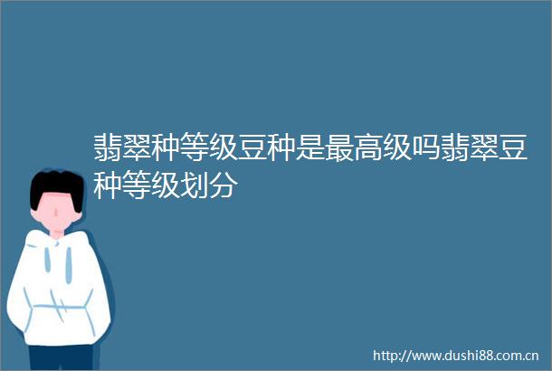 翡翠种等级豆种是最高级吗翡翠豆种等级划分