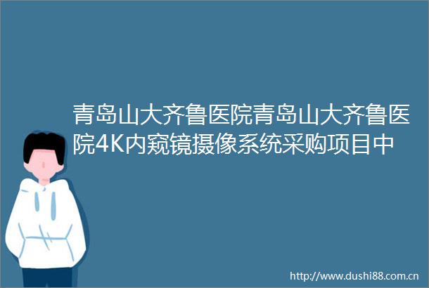 青岛山大齐鲁医院青岛山大齐鲁医院4K内窥镜摄像系统采购项目中标公告