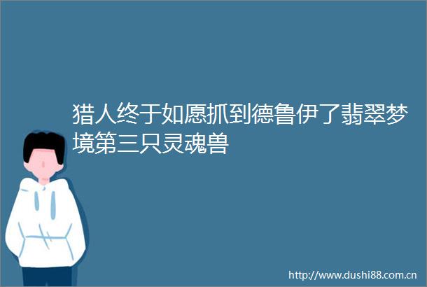 猎人终于如愿抓到德鲁伊了翡翠梦境第三只灵魂兽