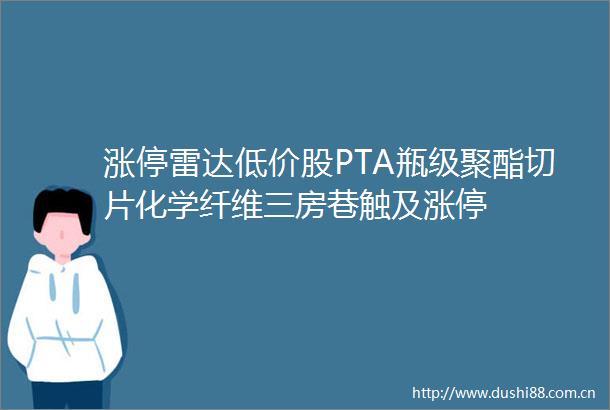 涨停雷达低价股PTA瓶级聚酯切片化学纤维三房巷触及涨停