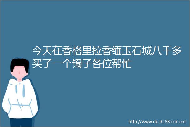 今天在香格里拉香缅玉石城八千多买了一个镯子各位帮忙