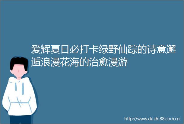 爱辉夏日必打卡绿野仙踪的诗意邂逅浪漫花海的治愈漫游