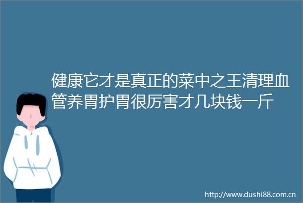 健康它才是真正的菜中之王清理血管养胃护胃很厉害才几块钱一斤