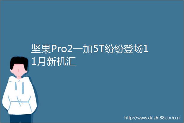 坚果Pro2一加5T纷纷登场11月新机汇