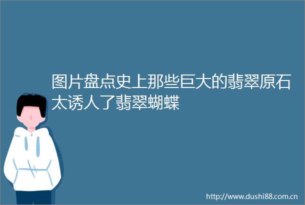 图片盘点史上那些巨大的翡翠原石太诱人了翡翠蝴蝶