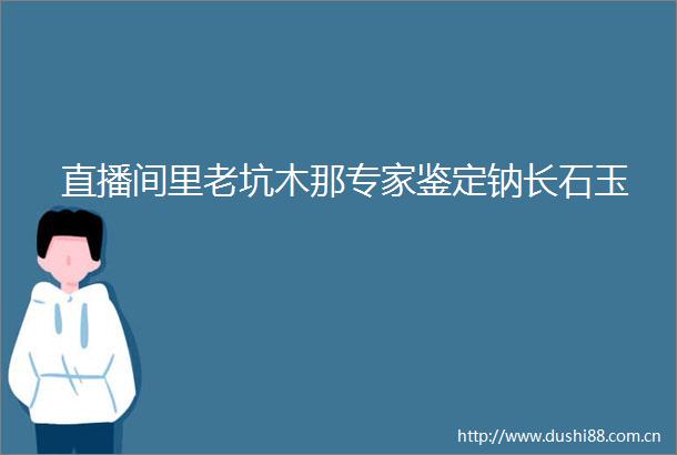 直播间里老坑木那专家鉴定钠长石玉