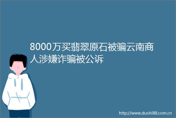8000万买翡翠原石被云南商人诈被公诉