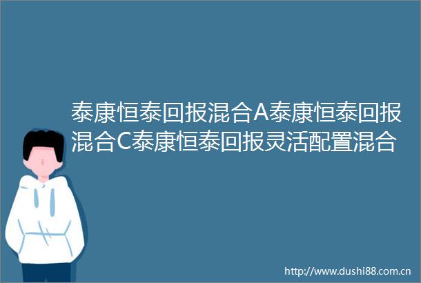 泰康恒泰回报混合A泰康恒泰回报混合C泰康恒泰回报灵活配置混合型证券投资基金更新招募说明书2024年第2次更新