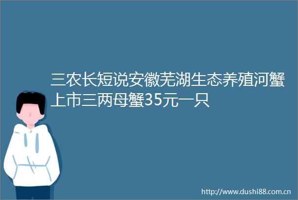 三农长短说安徽芜湖生态养殖河蟹上市三两母蟹35元一只