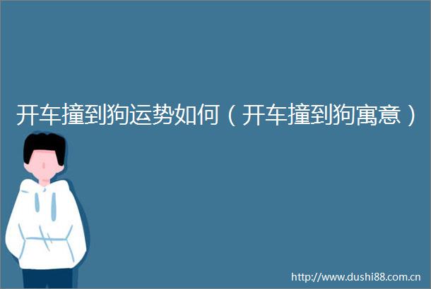 开车撞到狗运势如何（开车撞到狗寓意）