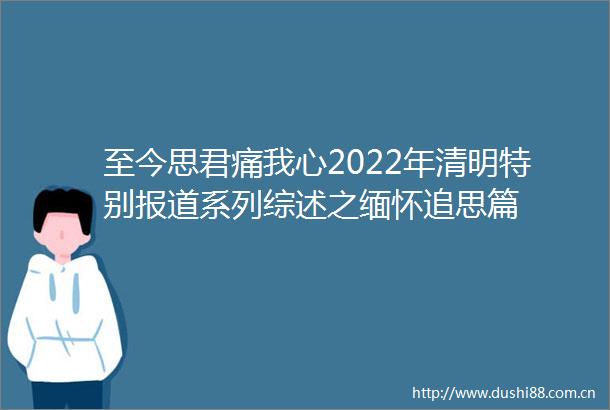 至今思君痛我心2022年清明特别报道系列综述之缅怀追思篇