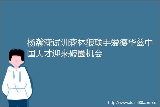杨瀚森试训森林狼联手爱德华兹天才迎来破圈机会