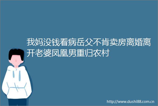 我妈没钱看病岳父不肯卖房离婚离开老婆凤凰男重归农村