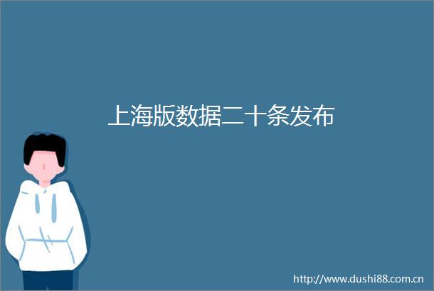 上海版数据二十条发布