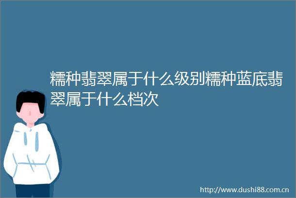 糯种翡翠属于什么级别糯种蓝底翡翠属于什么档次