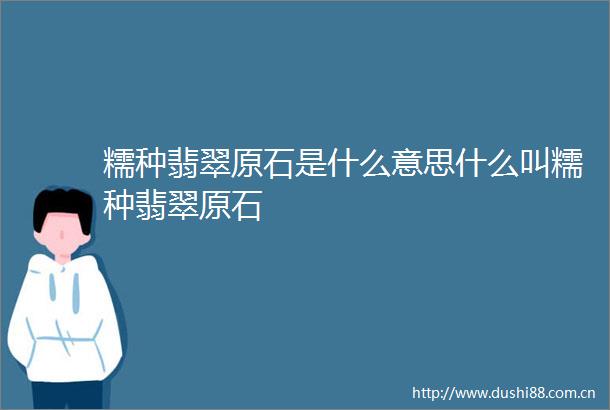 糯种翡翠原石是什么意思什么叫糯种翡翠原石