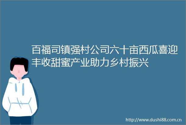 百福司镇强村公司六十亩西瓜喜迎丰收甜蜜产业助力乡村振兴