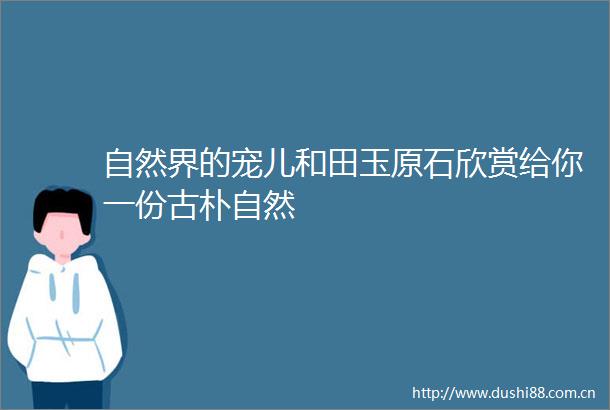 自然界的宠儿和田玉原石欣赏给你一份古朴自然