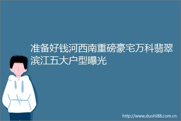 准备好钱河西南重磅豪宅万科翡翠滨江五大户型