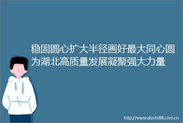 稳固圆心扩大半径画好最大同心圆为湖北高质量发展凝聚强大力量