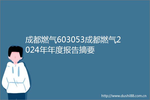 成都燃气603053成都燃气2024年年度报告摘要