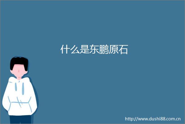 什么是东鹏原石
