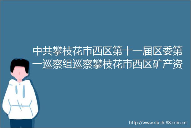 攀枝花市西区第十一届区委第一巡察组巡察攀枝花市西区矿产资源保护中心巡察反馈意见集中整改情况的公开稿