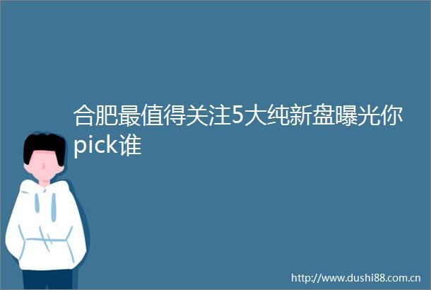 合肥最值得关注5大纯新盘你pick谁