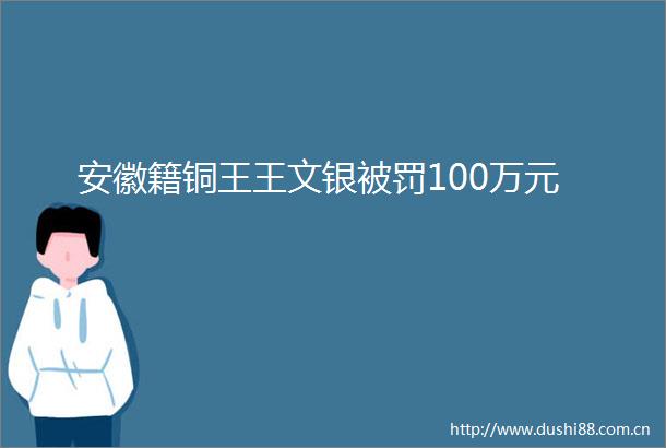 安徽籍铜王王文银100万元