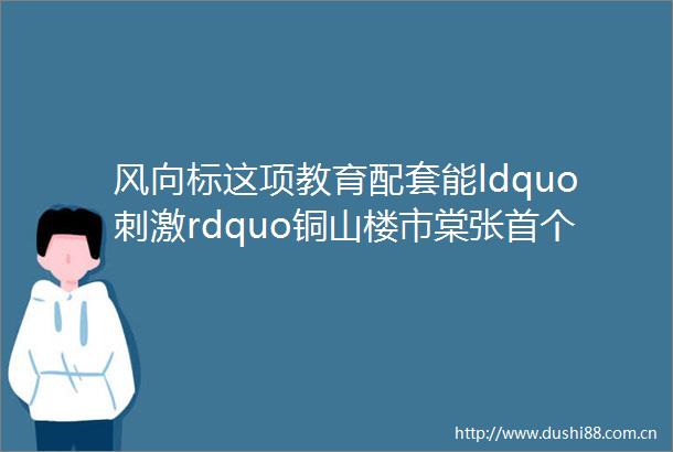 风向标这项教育配套能ldquo刺激rdquo铜山楼市棠张首个精装项目取得预售许可