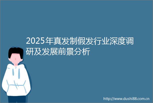 2025年真发制假发行业深度调研及发展前景分析