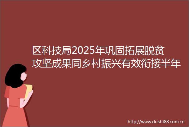 区科技局2025年巩固拓展脱贫攻坚成果同乡村振兴有效衔接半年工作总结