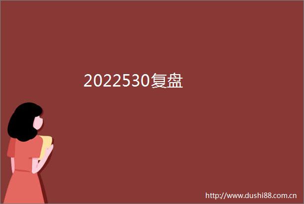 2022530复盘