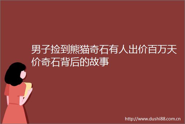 男子捡到熊猫奇石有人出价百万天价奇石背后的故事