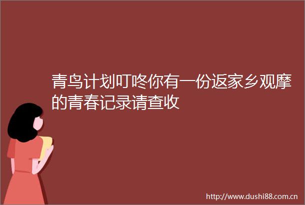 青鸟计划叮咚你有一份返家乡观摩的青春记录请查收