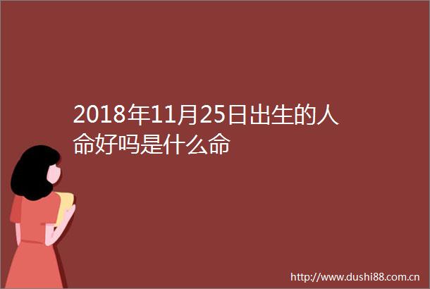 2018年11月25日出生的好吗是什么命