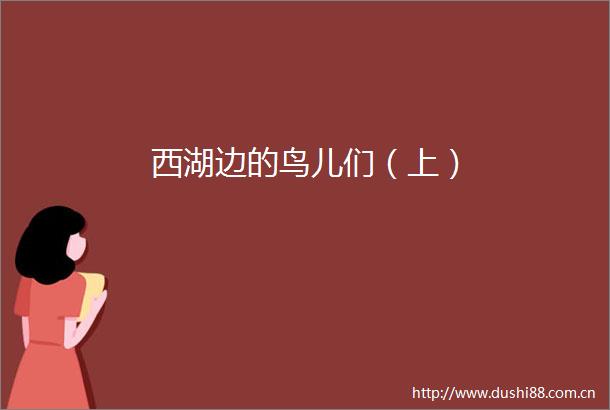 西湖边的鸟儿们（上）